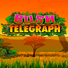 Bush Telegraph