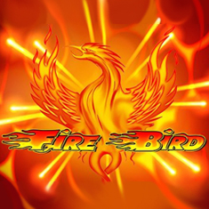 Fire Bird