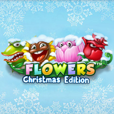 Flowers Christmas Edition