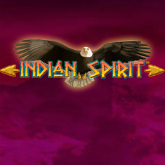 Indian Spirit