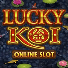 Lucky Koi