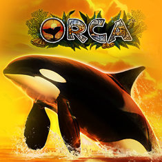 Orca