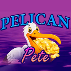 Pelican Pete