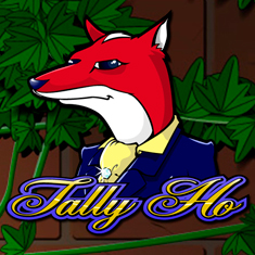 Tally Ho