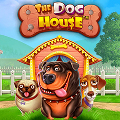 The Dog House