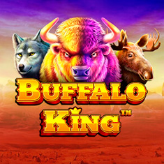 Buffalo King