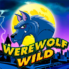 Werewolf Wild