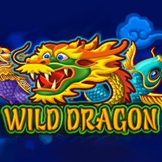 Wild Dragon