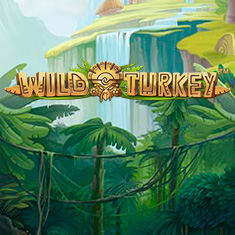Wild Turkey