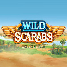 Wild Scarabs