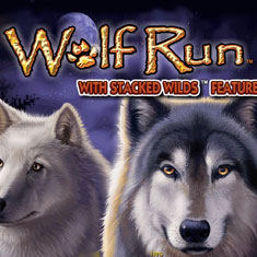 Wolf Run